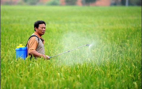 植保無人機(jī)掙錢嗎？7小時(shí)收入可在5000元