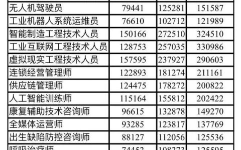 無人機駕駛員工資每月多少錢（無人機駕駛員年薪中位數(shù)12.5萬元）